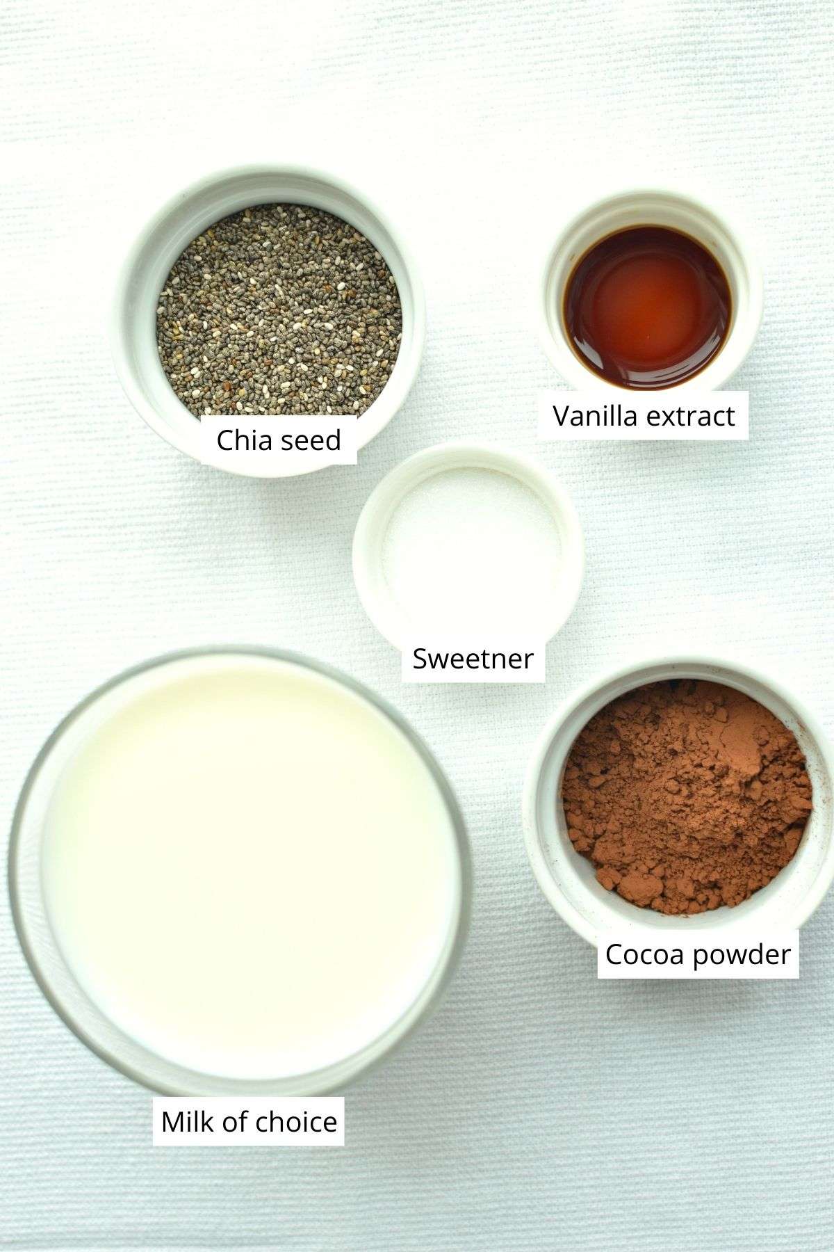 delicious-chocolate-chia-seed-pudding-for-diabetics-3
